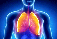 RespiratorySystem